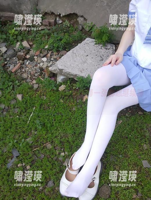 西尔酱的夏日图包，似乎每一张都想继续聊聊。