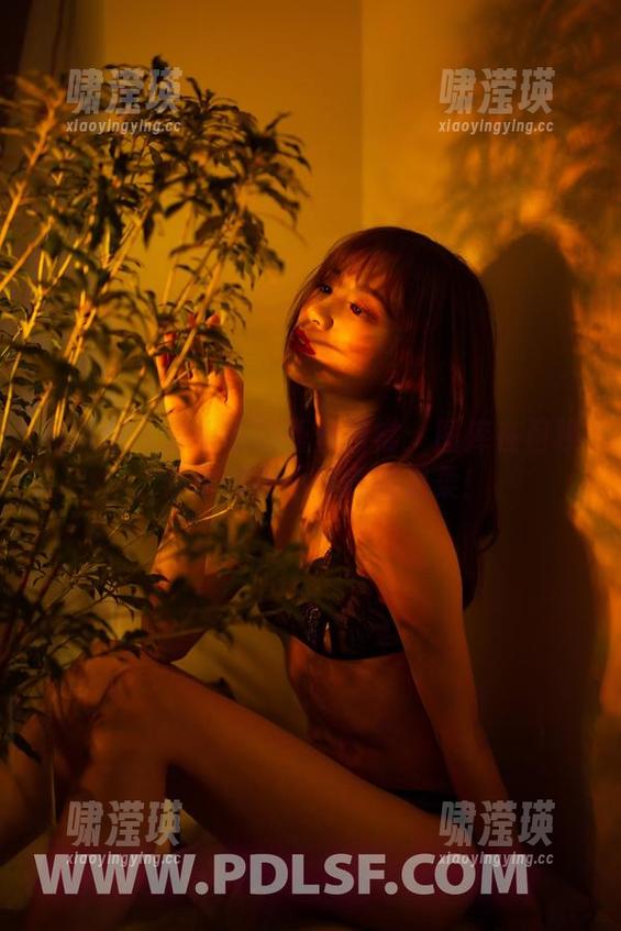 轰趴猫 - 苏小暖的蕾丝日常：图库在召唤，分享那份不经意的温柔！